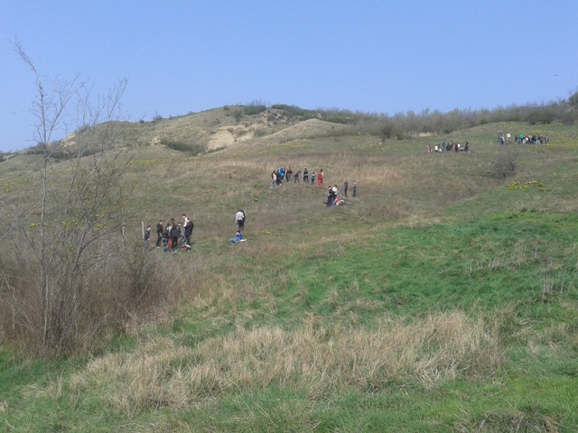 Plantare de arbori